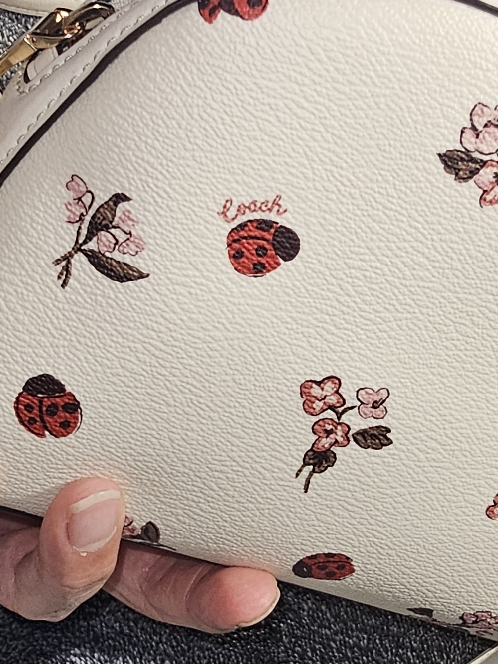 Coach White Floral & Ladybug Crossbody Bag - Picture 15 of 15